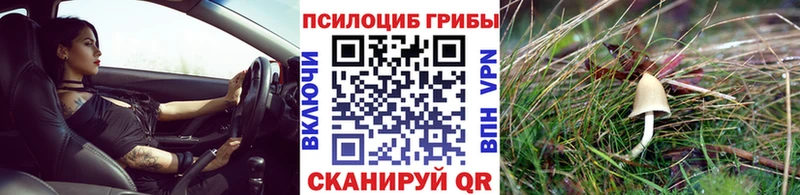 Купить закладки  Северодвинск  Псилоцибиновые грибы мухоморы 